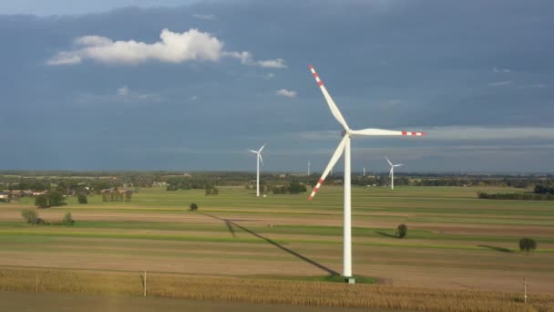 Wind Turbines Rape Field — Stockvideo