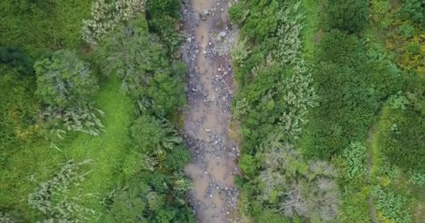 Doğal Nehrin Insansız Hava Görüntüsü — Stok video