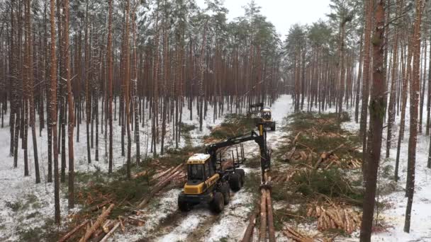 Máquinas Florestais Corte Árvores Filmagem Aérea — Vídeo de Stock