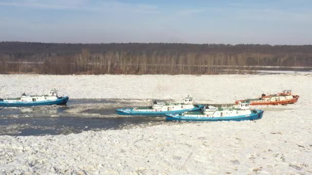 Navi Rompighiaccio Che Frantumano Ghiaccio Sul Fiume — Video Stock