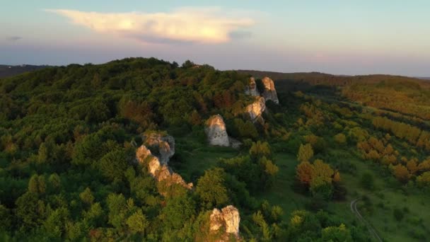 Drone Tiro Aéreo Bela Manhã Sobre Floresta — Vídeo de Stock