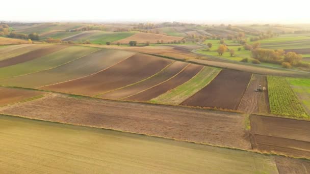 Vue Aérienne Moissonneuse Pendant Travail — Video