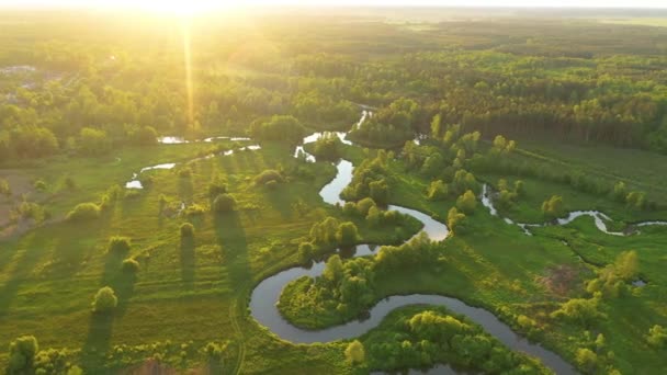 Drone Aerial Shot Natural River Sunset — Vídeo de Stock