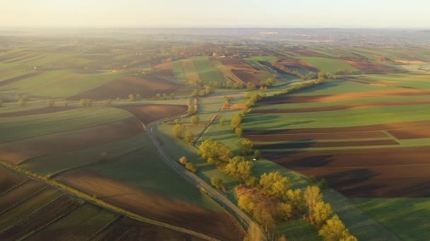 Bela Manhã Primavera Sobre Colinas Verdes Aérea Drone Shot — Vídeo de Stock