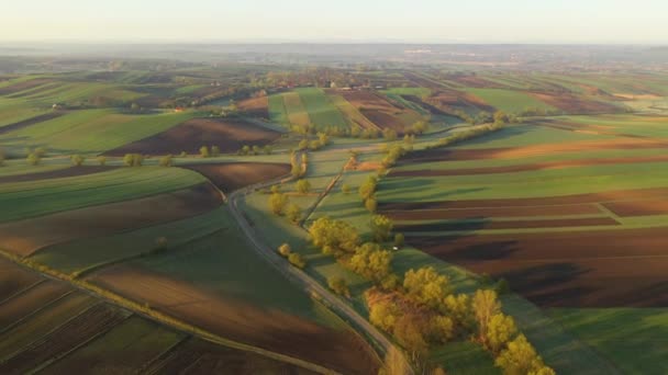 Belle Matinée Printemps Sur Les Collines Verdoyantes Plan Aérien Drone — Video