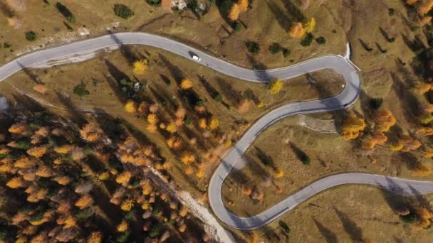 Zdjęcia Lotnicze Dronów Krajobrazu Gór Jesienią — Wideo stockowe