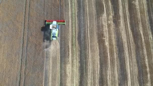 作業中の収穫機の空中撮影 — ストック動画