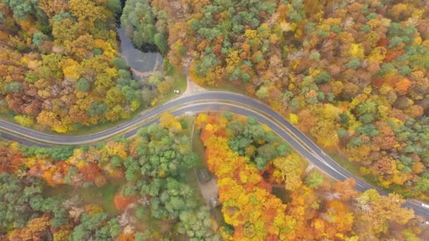Drone Tiro Aéreo Estrada Ventosa Entre Árvores Outono — Vídeo de Stock