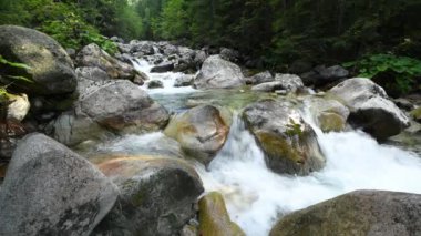 Beautiful mountains river landscape on sunny morning