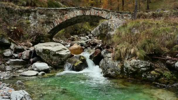 Small River Old Stone Bridge — Vídeos de Stock