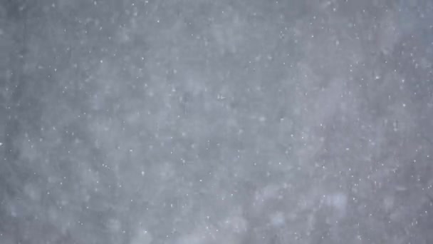 Fallande Snöbilder Vintertid — Stockvideo