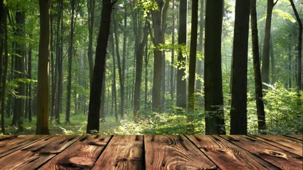 Mesa Madera Vieja Vacía Con Bosque Verde Fondo — Vídeos de Stock