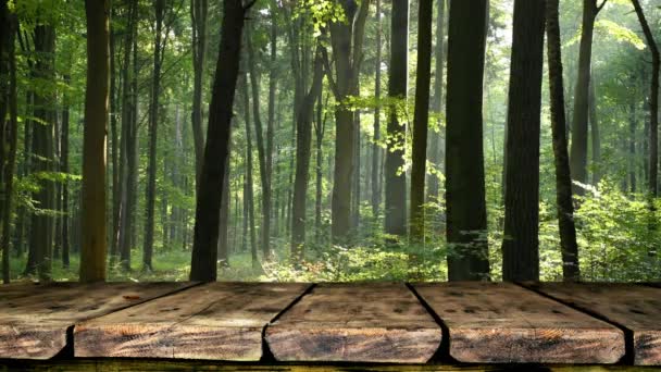 Empty Old Wooden Table Green Forest Background — Stock Video