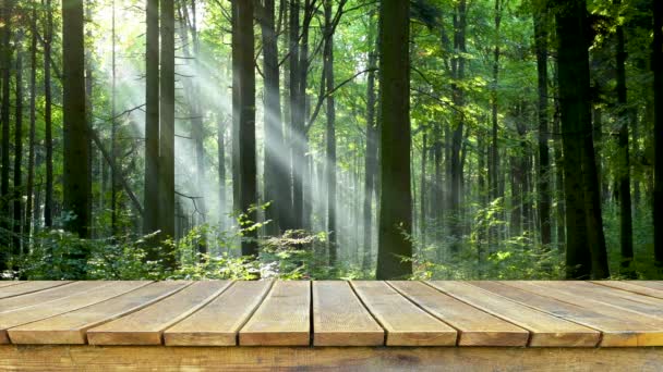 Tomma Gamla Träbord Med Grön Skog Bakgrunden — Stockvideo