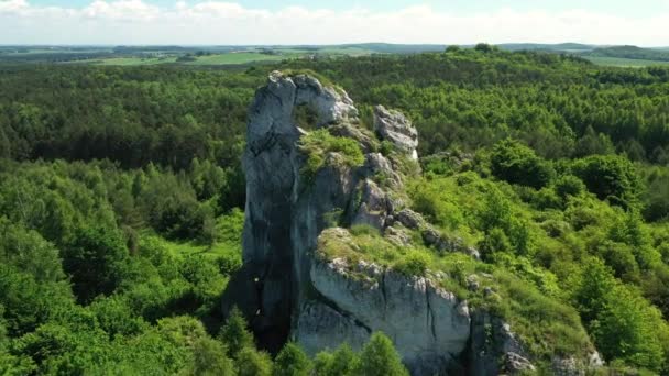 Kalksteen Jura Krakowsko Czestochowska Polen Okiennik Wielki Rots — Stockvideo