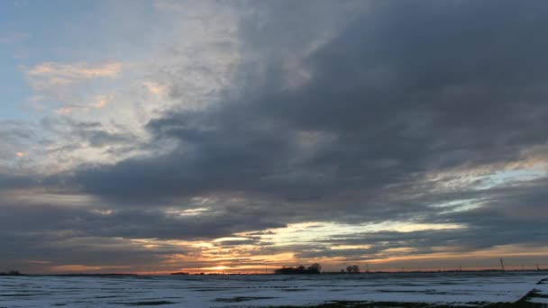 Piękny Zimowy Wschód Słońca Nad Polami Zimowymi — Wideo stockowe