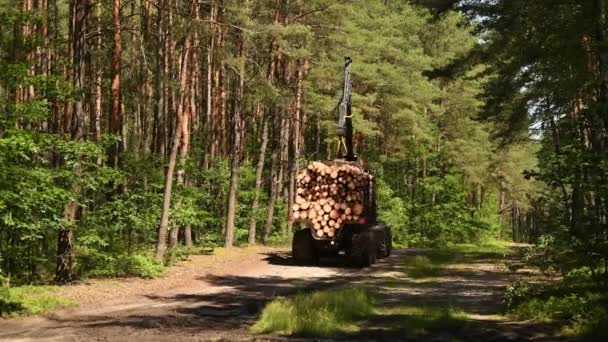 Forstmaschine Transportiert Baumballen Zum Schneiden — Stockvideo