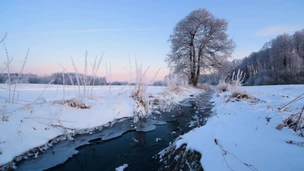 凍った川の上に美しい冬の朝 — ストック動画