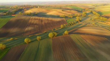 Yeşil arazili hava manzarası