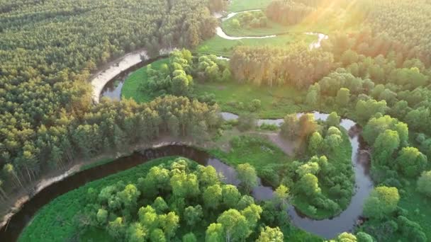 Strzał Powietrza Drona Naturalnej Rzeki — Wideo stockowe