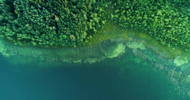 Paysage Aérien Lac — Video