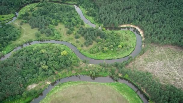 Strzał Powietrza Drona Naturalnej Rzeki — Wideo stockowe