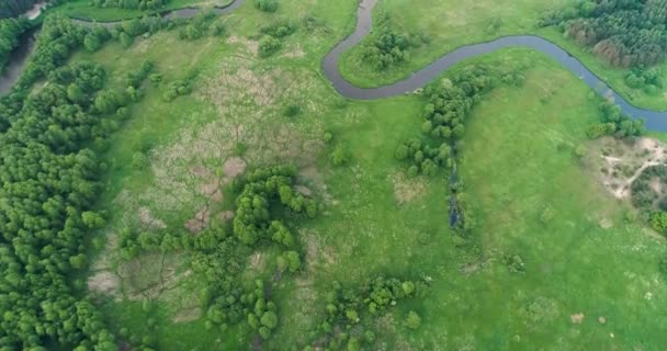 Strzał Powietrza Drona Naturalnej Rzeki — Wideo stockowe