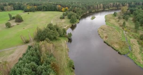 Tiro Aéreo Dron Del Río Natural — Vídeos de Stock