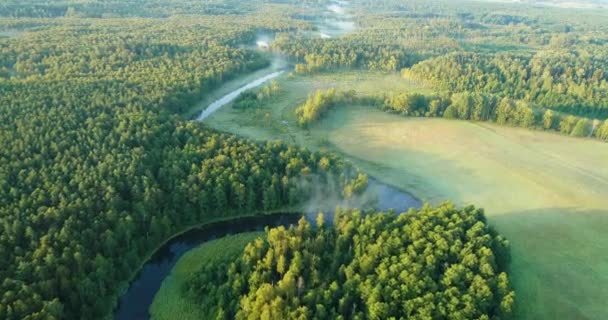 Tiro Aéreo Dron Del Río Natural — Vídeos de Stock