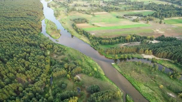 天然河流的无人机拍摄 — 图库视频影像