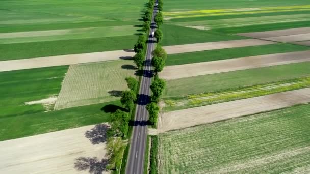 春の畑の間の道路の空中風景 — ストック動画