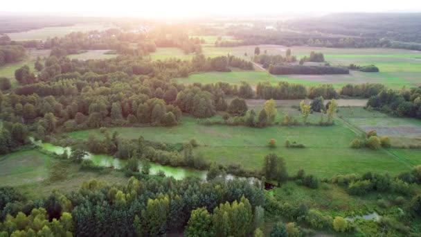 Hermosa Mañana Primavera Sobre Prados Verdes — Vídeos de Stock