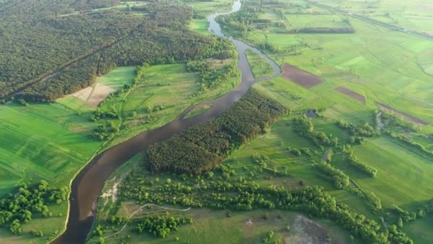 Strzał Powietrza Drona Naturalnej Rzeki — Wideo stockowe
