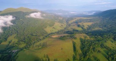 Yeşil alanların insansız hava görüntüsü.
