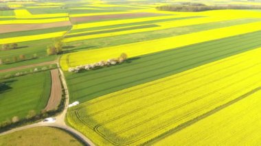 Çiçek açan tecavüz sahalarıyla kırsal bölgelerin insansız hava görüntüleri.