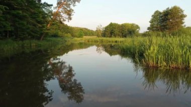 Doğal nehrin insansız hava görüntüsü.