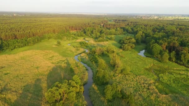 Tiro Aéreo Dron Del Río Natural — Vídeos de Stock