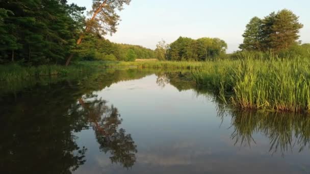 Tiro Aéreo Dron Del Río Natural — Vídeos de Stock