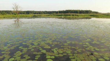 Doğal nehrin insansız hava görüntüsü.