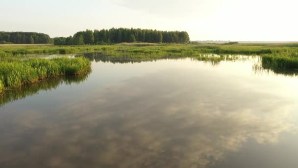 Tiro Aéreo Dron Del Río Natural — Vídeos de Stock