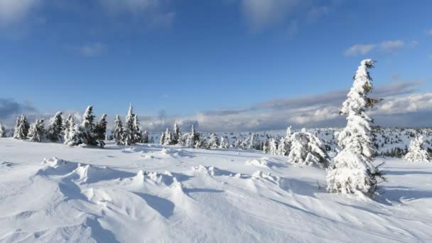 Vinter Bergen Karkonosze Polen — Stockvideo