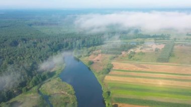 Aerial view of natural river during morning
