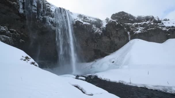 Berühmte Wasserfälle Seljalandsfoss Auf Island Winter — Stockvideo