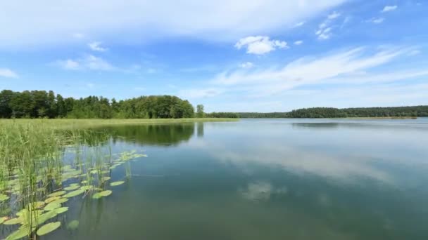 Hermoso Paisaje Lago Durante Verano — Vídeos de Stock