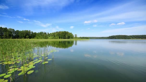夏の間の湖の美しい風景 — ストック動画