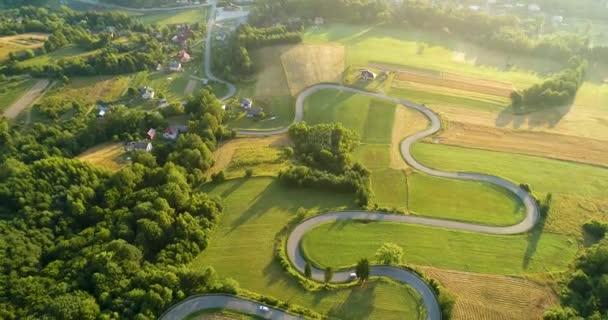 Windy Road Drone Aerial Shot — Stock Video