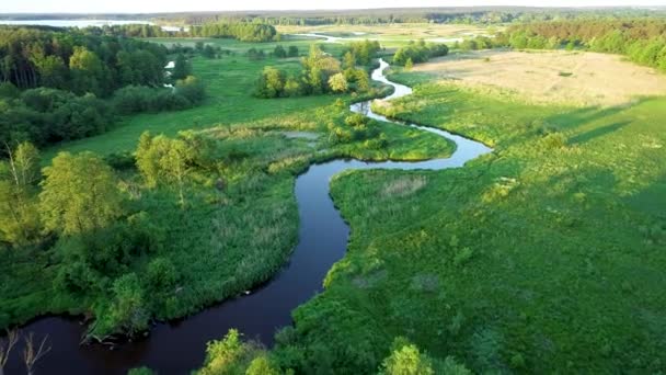 Aerial View Natural River Morning — Vídeos de Stock