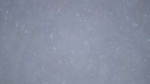 Havas Időjárás Felvételek Téli Idő — Stock videók