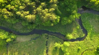 Aerial view of natural river during morning