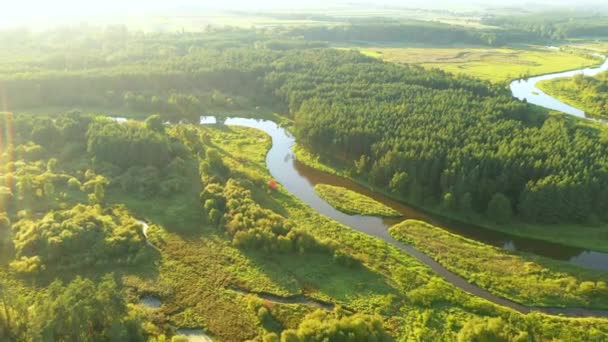 Aerial View Natural River Morning — ストック動画